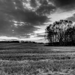 After Prairie Harvest